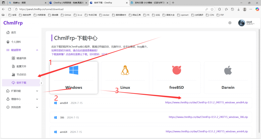 ChmlFrp 内网穿透图文教程