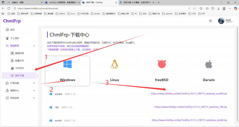 ChmlFrp 内网穿透图文教程-小小博客 - 记录与学习前端知识